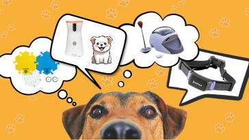 Top Dog Tech Gadgets: 12 Best Smart Accessories for Your Pet